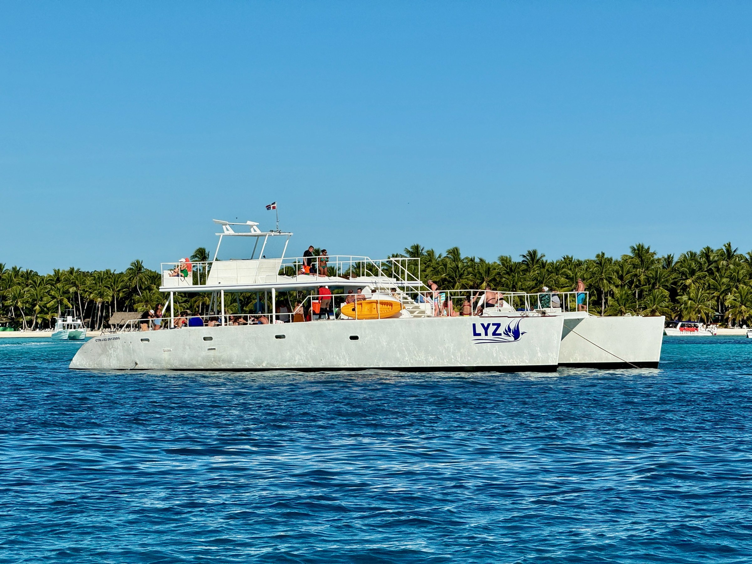 Catamarán blanco navegando frente a una costa llena de palmeras